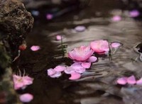 你迟到了很多年