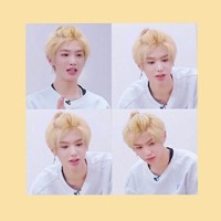 江稚柠