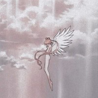 不黑不吹