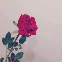 林錢cp