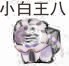 各种cp同人文