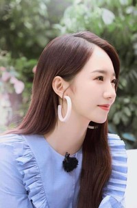 歸國四美