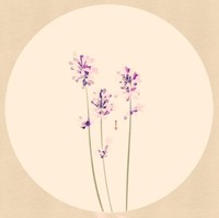 秦申