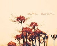 容毅
