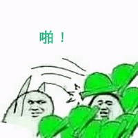 兩姐妹的每日撕逼