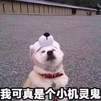 想到再說(shuō)
