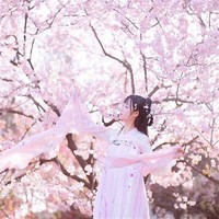 只有四个女主哦