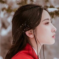 女主的身份背景很牛