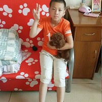 孫濤