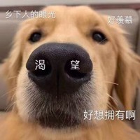 卖剧本