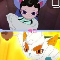 加油加油