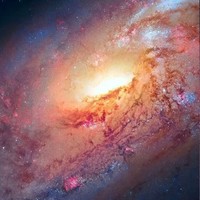 每个星期一到四更文