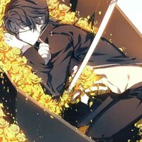新手写作勿喷