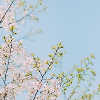 无趣之人的无聊之作