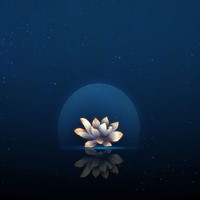 讽刺现实