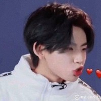 王琳凱紫寧