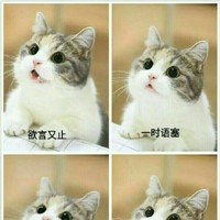 四個哥哥把我寵上天