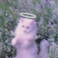 汐子创