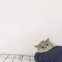 半戏人生
