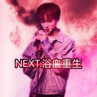 NEXT浴血重生
