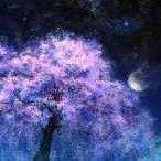 琉璃堂系列