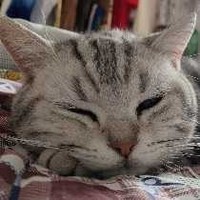 七組邀約駐站