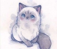 穿越冰公主