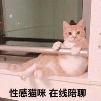 沙雕剧组