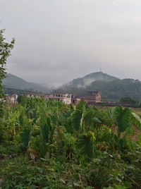 双重经历你会疯