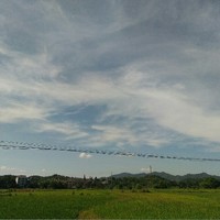 王境澤真香警告
