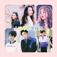 十五年等候鸟