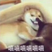 聽聞林濉喜歡天靈蓋