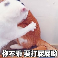 輕短系列