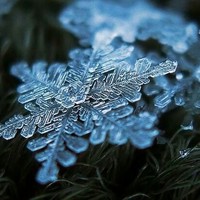 不许模仿