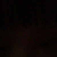 內(nèi)有番外