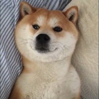 女主充钱了