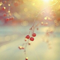 余生我们一起走