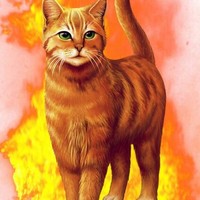 猫武士续写