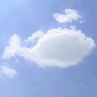 最强关系户