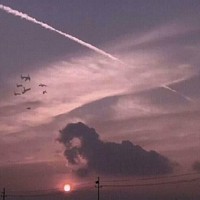 愿被神明所愛