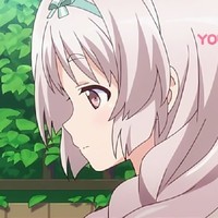 鸠子
