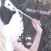 robber女团