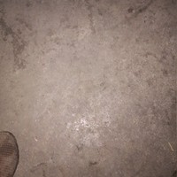 劉敏唐思楠
