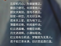 忘曦情