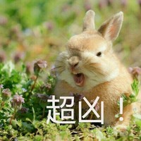王琳凯黄明昊