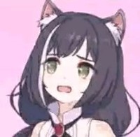 无忧花文社