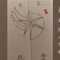 凌星双子