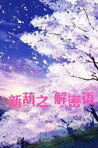 新葫解密