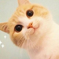 喵星人和汪星人