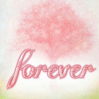 Forever社团
